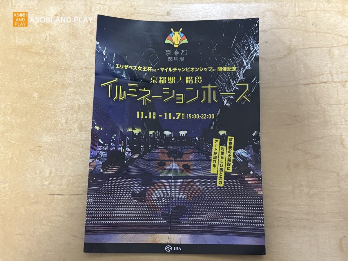 京都駅大階段イルミネーションホース