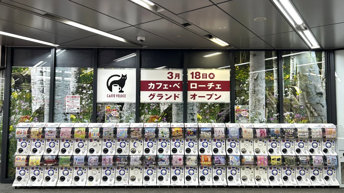 カフェ・ベローチェ 京都ヨドバシ店