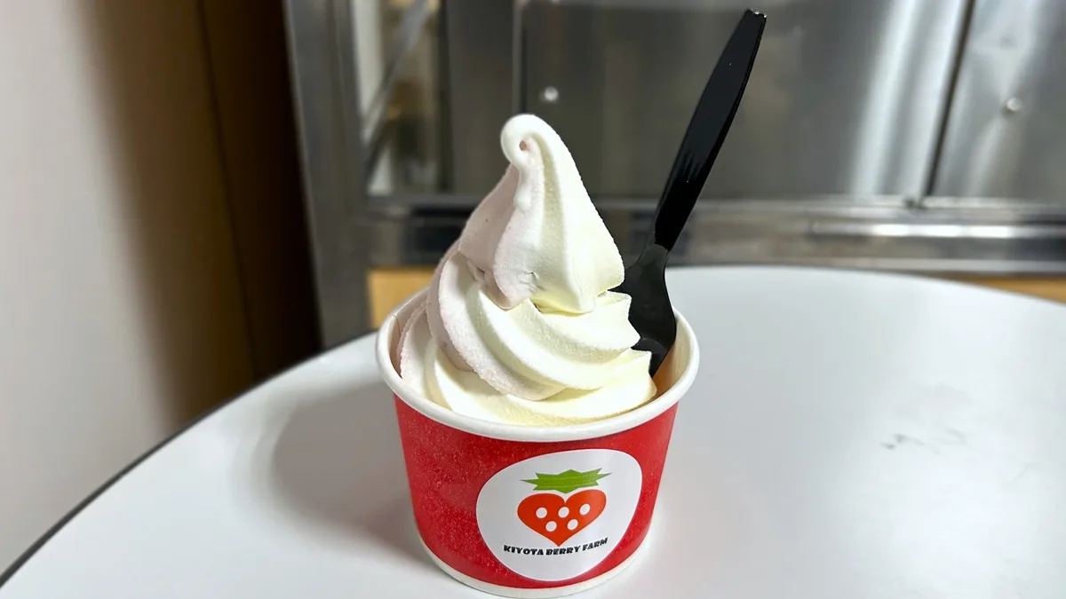 きよたベリーファームは、北海道産「豊富牛乳」を使用した自家製ソフトクリームを提供。味はミルク・ミックス・いちごの3種類から選べます。特定原材料は乳成分。今回はミックスを注文。イチゴとミルクが混ざり合った贅沢でクリーミーな味わいでした。